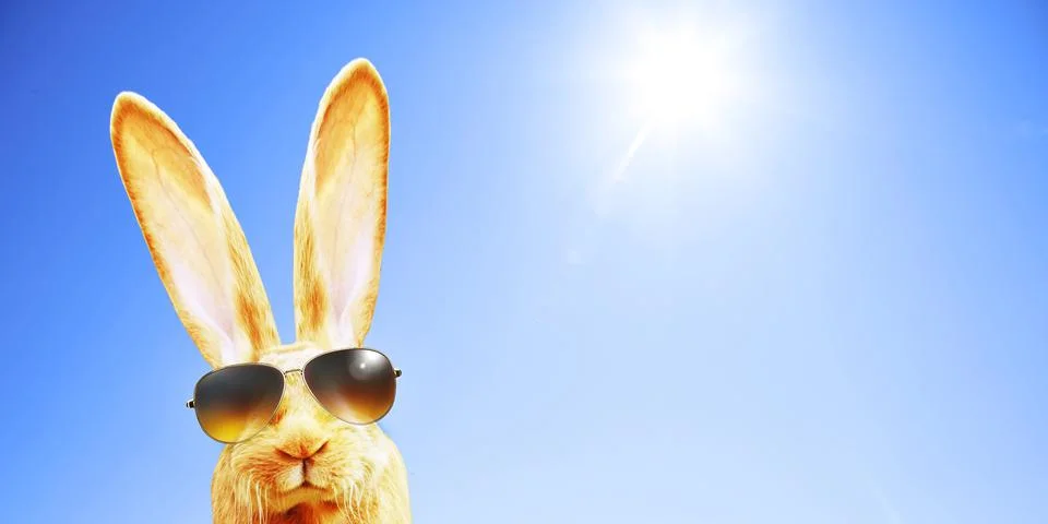 Funny Easter bunny. Happy Easter holiday concept. Stock Photos