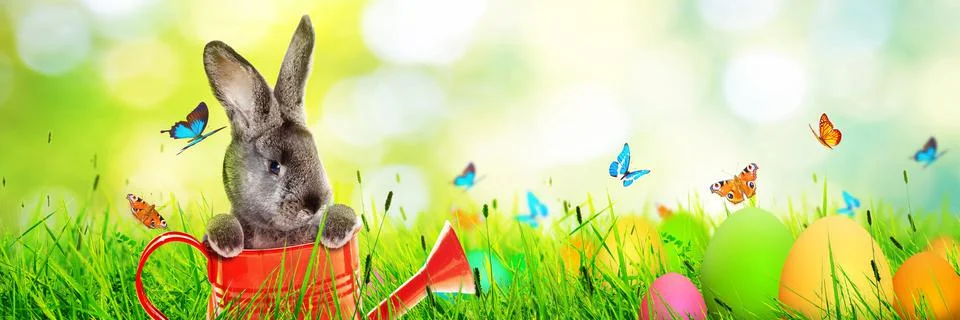 Funny Easter bunny. Happy Easter holiday concept. Stock Photos