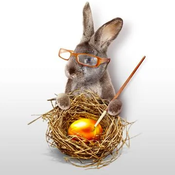 Funny Easter bunny. Happy Easter holiday concept. Stock Photos