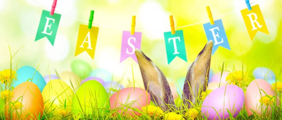 Funny Easter bunny. Happy Easter holiday concept. Stock Photos