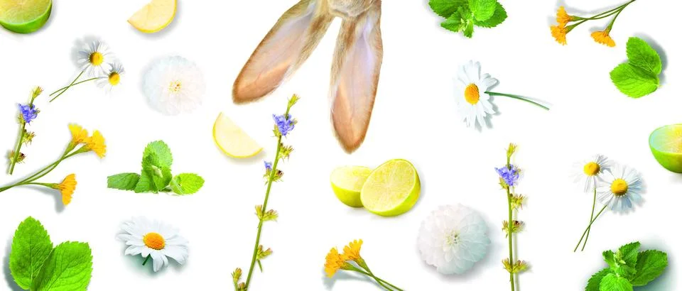 Funny Easter bunny. Happy Easter holiday concept. Stock Photos