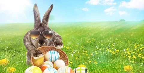 Funny Easter bunny. Happy Easter holiday concept. Stock Photos