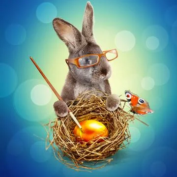 Funny Easter bunny. Happy Easter holiday concept. Stock-Fotos