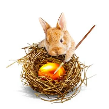Funny Easter bunny. Happy Easter holiday concept. Stock Photos