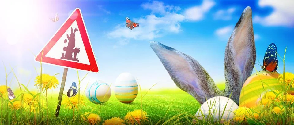 Funny Easter bunny. Happy Easter holiday concept. Stock Photos