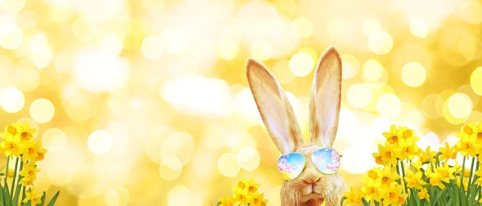 Funny Easter bunny. Happy Easter holiday concept. Stock Photos