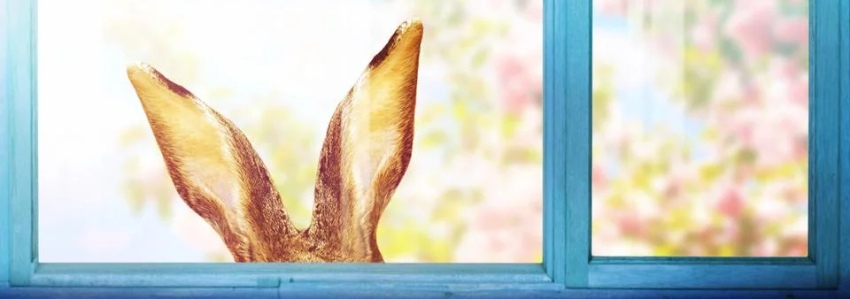 Funny Easter bunny. Happy Easter holiday concept. Stock Photos