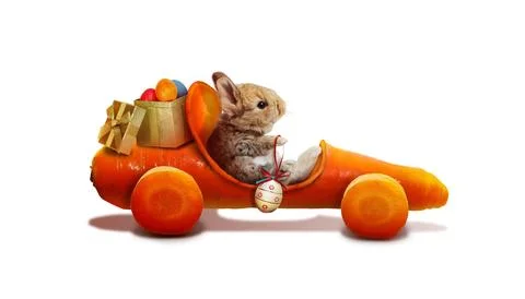 Funny Easter bunny. Happy Easter holiday concept. Stock Photos