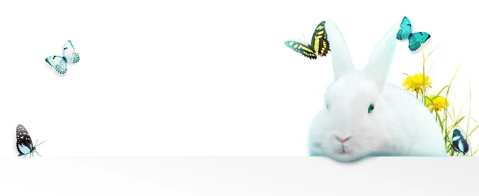 Funny Easter bunny. Happy Easter holiday concept. Stock Photos