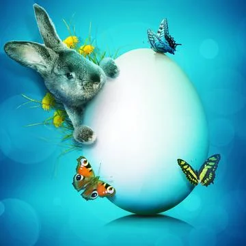 Funny Easter bunny. Happy Easter holiday concept. Stock Photos
