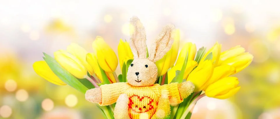 Funny Easter bunny. Happy Easter holiday concept. Stock Photos