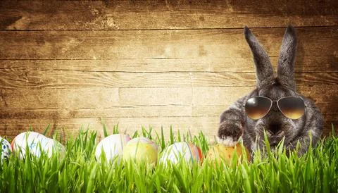 Funny Easter bunny. Happy Easter holiday concept. Stock Photos