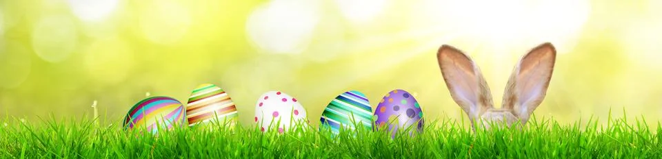 Funny Easter bunny. Happy Easter holiday concept. Stock Photos