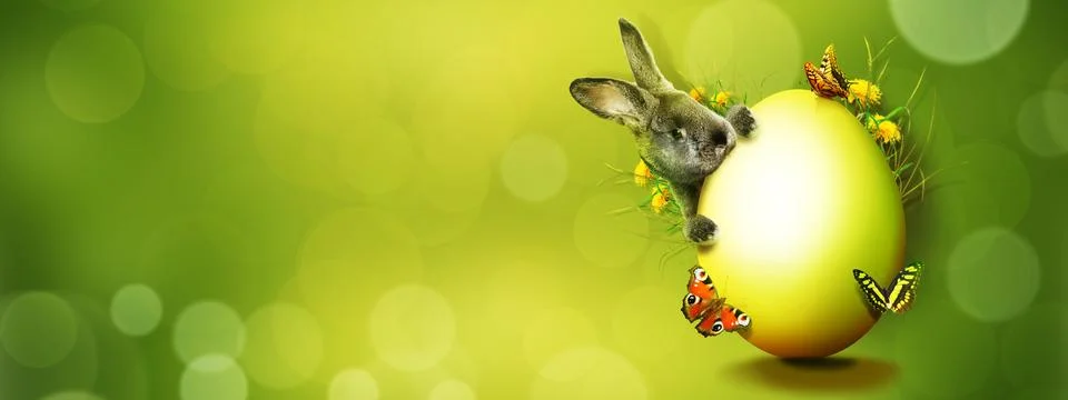 Funny Easter bunny. Happy Easter holiday concept. Stock Photos