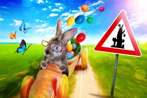 Funny Easter bunny. Happy Easter holiday concept. Stock Photos