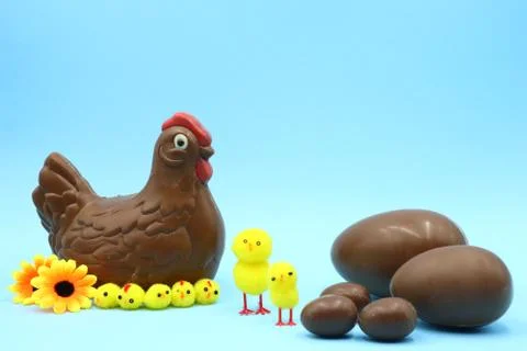 Funny Easter Composition with Chocolate Hen Stock Photos