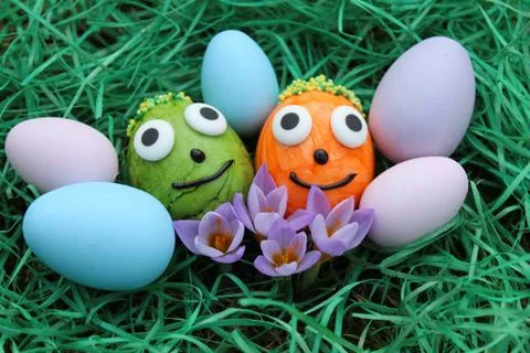 Funny easter eggs and crocus Stock Photos