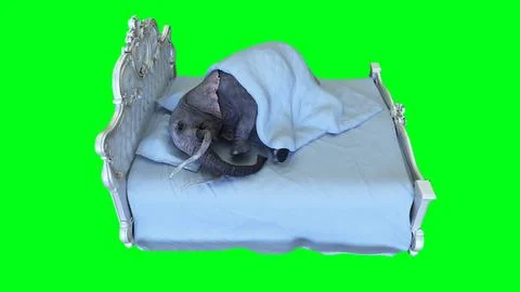 Funny elephant sleeping in bed under blanket. 3d rendering. Illustration