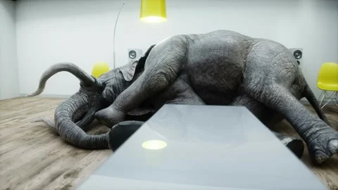 Funny elephant sleeping in room. Realistic 4k animation. Vídeos de archivo 268151173