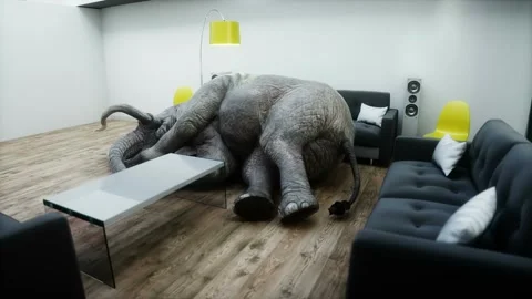 Funny elephant sleeping in room. Realistic 4k animation. Video stock 268151525