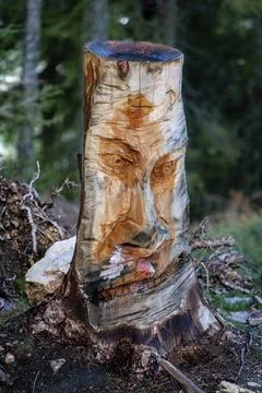 Funny face carved in a wooden tree trunk growing in a forest in the italian alps Foto stock