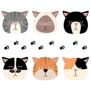 Funny face cat head arrogant variety of species Stock Illustration