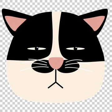 Funny face cat head arrogant black and white イラスト素材