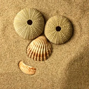 Funny face in the sand Stock Photos