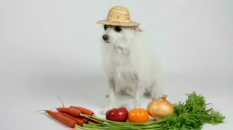 Funny Farmer Stock Footage