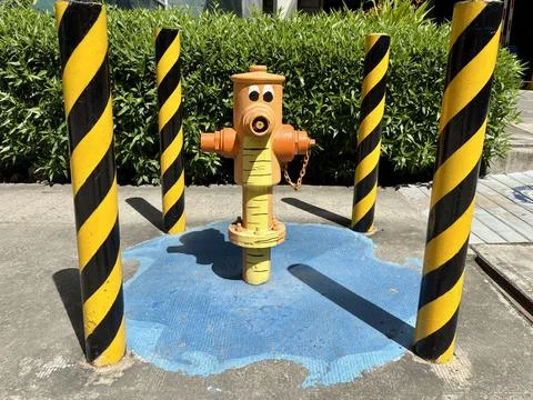 Funny Fire Hydrant Painted as Cartoon Character Stock Photos