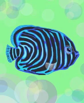 Funny fish illustration Stock Illustration