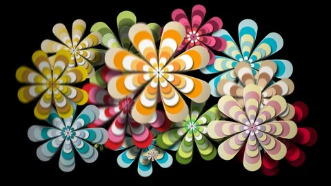 Funny Flower Transitions Video stock 121284342