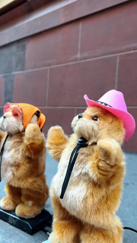 Funny fluffy electronic cats wearing hats and sunglasses dance in the streets. Stock Footage 329070571