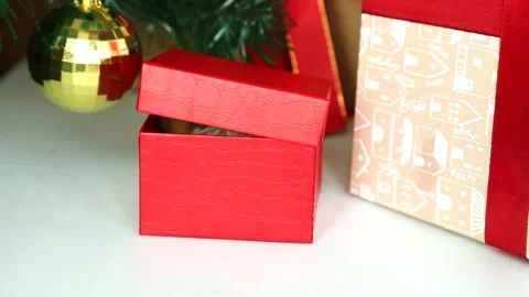 Funny, fluffy hamster opens the lid of a gift box near the Christmas tree Vídeo Stock 253601094