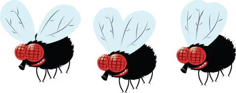 Funny fly Stock Illustration