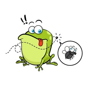 Funny Frog Looking At Fly Stock Illustration