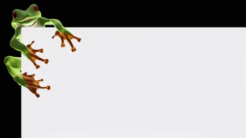 A funny frog is sitting on a screen template Stock Footage 171164235