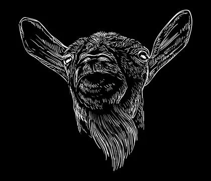 Funny goat head with a beard on a black hand drawing vector illustration Illustrazione stock