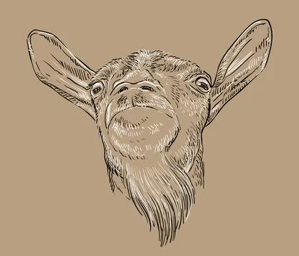 Funny goat monochrome head with a beard hand drawing vector illustration Stock Illustration