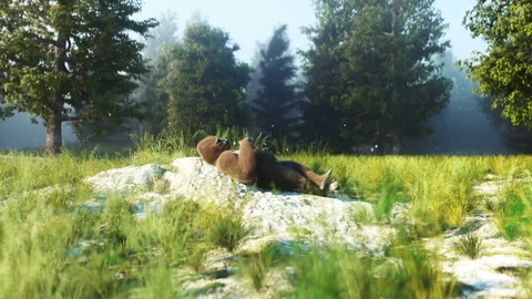 Funny gorilla idle in forest. Realistic 4k animation. Vídeos de archivo 132675983