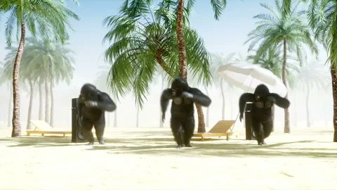 Funny gorillas and monkeys dancing on sunny seaside. Tourism and rest concept Video stock 93531729