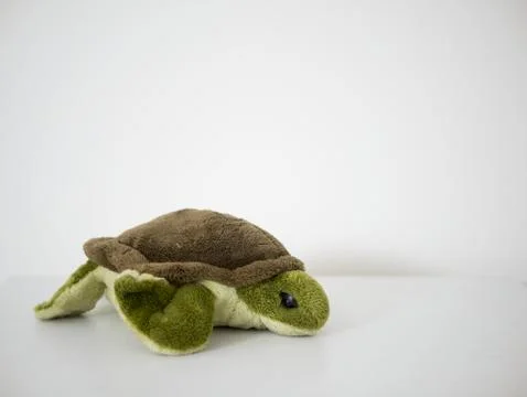Funny green turtle Foto stock