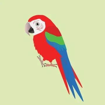 Funny green winged macaw イラスト素材