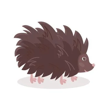 Funny hedgehog character isolated vector illustration. Sweet cartoon animal. Stock Illustration