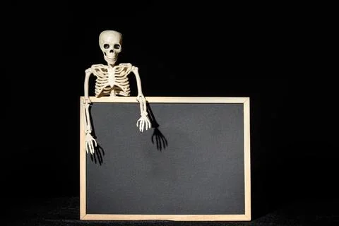 Funny human skeleton holding an empty black blank on a black background, copy Stock Photos
