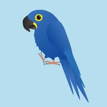 Funny hyacinth macaw Illustrazione stock
