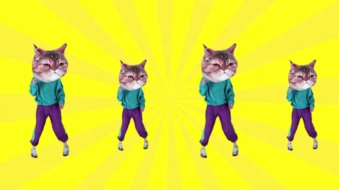 Funny image of man in casual clothes headed with cat muzzles dancing against Stock Footage 246947054