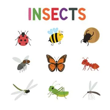 Funny insects, cute cartoon bugs vector set. Colored insects bee butterfly an Stock Illustration