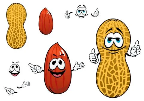 Funny kernel and pod of peanut characters Stock Illustration