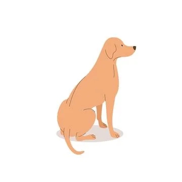 Funny labrador. Dogs collection. Vector illustration of cute breeds dogs in t Stock Illustration